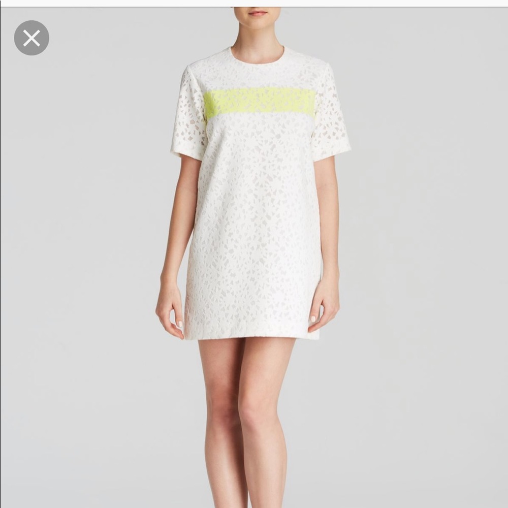 Elizabeth and James Chelle dress